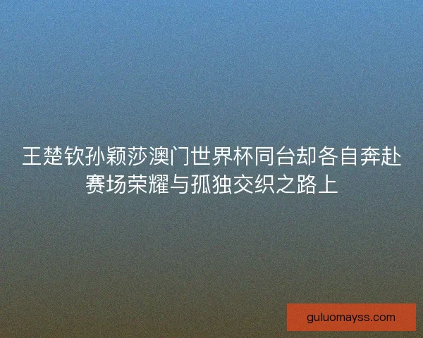 王楚钦孙颖莎澳门世界杯同台却各自奔赴赛场荣耀与孤独交织之路上