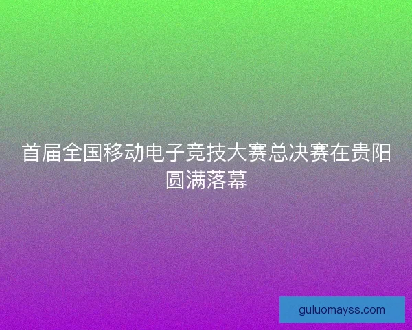首届全国移动电子竞技大赛总决赛在贵阳圆满落幕